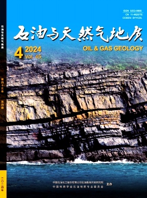 石油与天然气地质封面